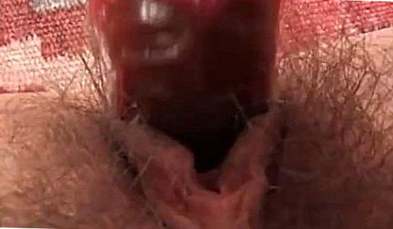 Brandi love, порно видео